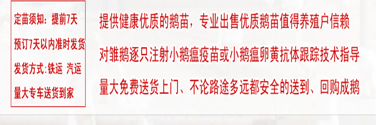 附近哪里有柴鸡土鸡不二之选
