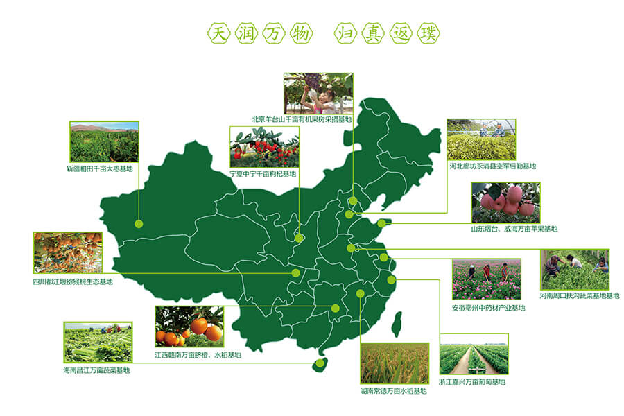 生态农业运用了什么原理_简爱运用了什么手法(2)