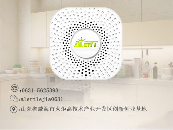 威海哪家做的好商用燃气泄漏报警器