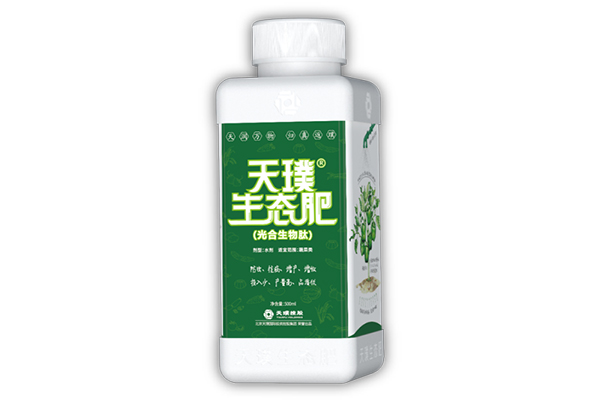 承接生态农业项目报告哪家好