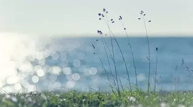 浙江工程壁纸