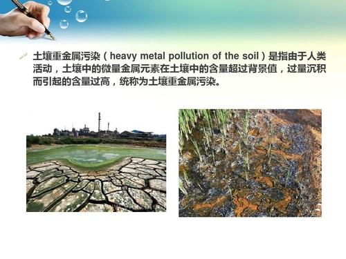 土壤元素分析仪器如何处理