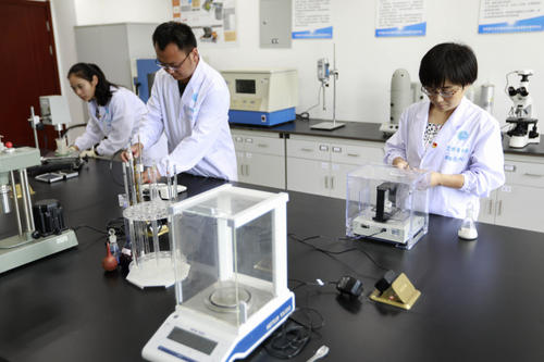 权威临床试验数据处理价格