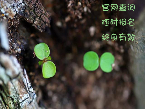 中西医结合咨询师有什么报考条件指定报名入口