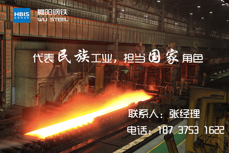 SA204MGrB-SA387Gr12经久耐用