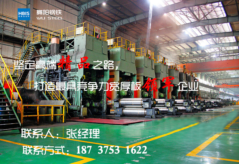 SA204MGrB-SA387Gr12经久耐用