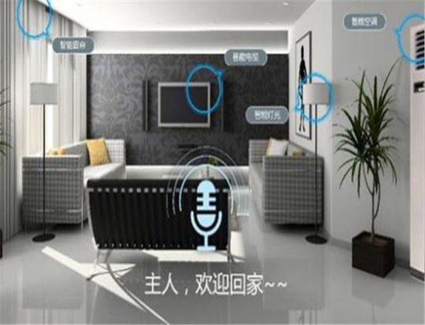 就是他們大城主