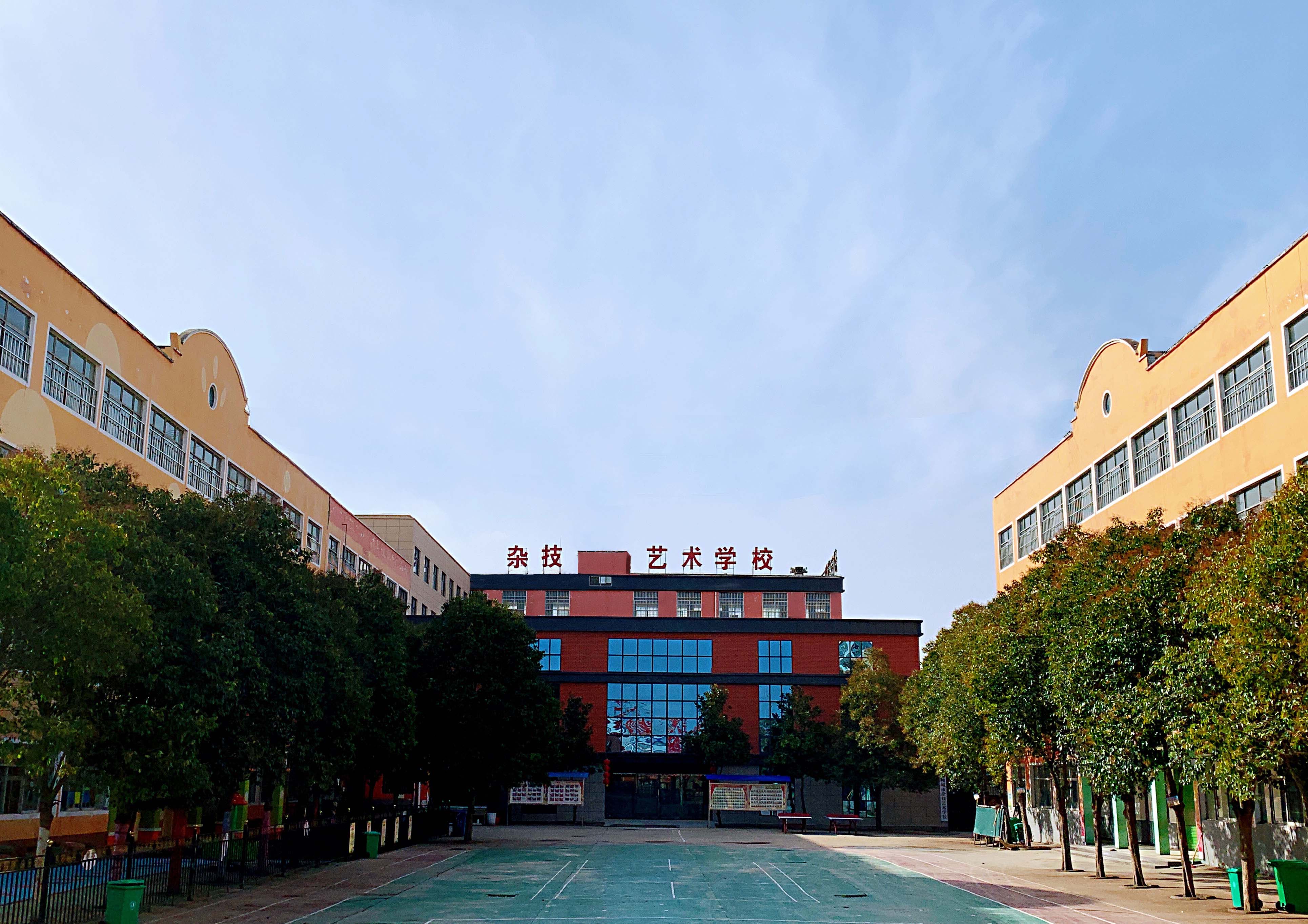 表演武术武术特技培训班哪家性价比高