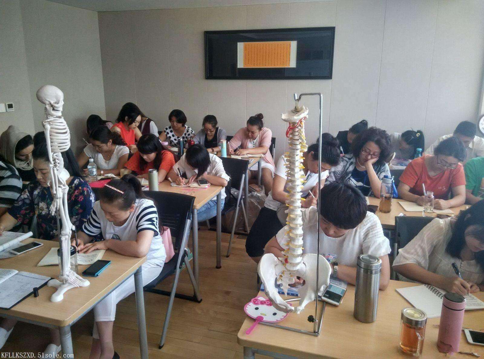 考试通知中医特殊调理师考试报名详细通知
