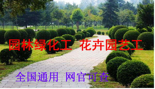 锦州如何办白蚁防治工多长时间可以拿到