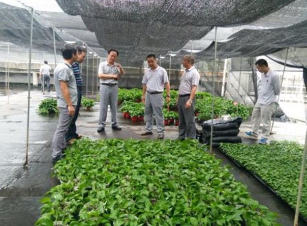 锦州如何办白蚁防治工多长时间可以拿到