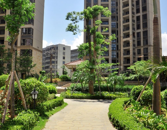 锦州如何办白蚁防治工多长时间可以拿到