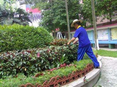 锦州如何办白蚁防治工多长时间可以拿到
