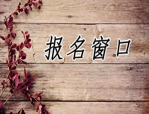 南充市全脑开发指导师证怎么报考