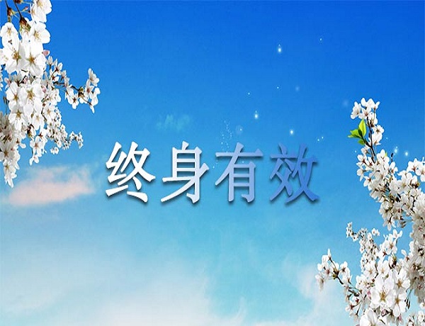 大连市全脑开发指导师证报名指南现状如何