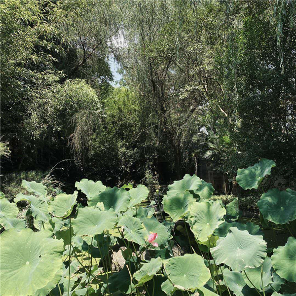 贵阳经贸学校需要什么条件
