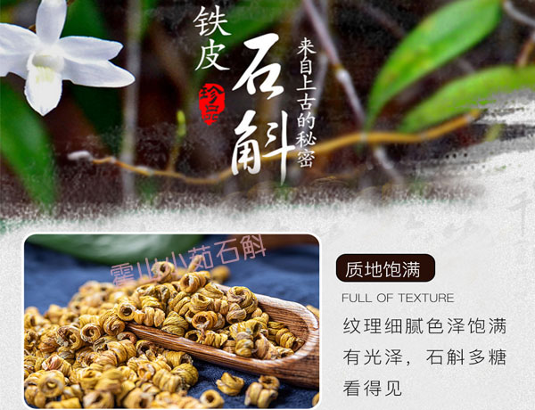 铁皮石斛购买的价格
