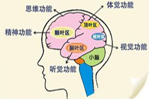 记忆力训练课程